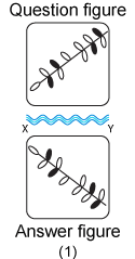 Non verbal reasoning, water images practice questions with detailed solutions, water images question and answers with explanations, Non-verbal series, water images tips and tricks, practice tests for competitive exams, Free water images practice questions